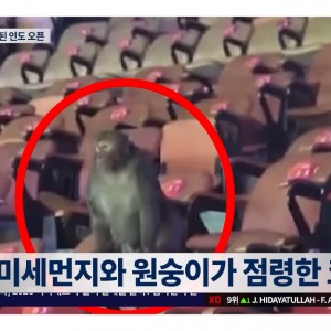 세계의 웃음거리가 된 인도오픈 | 위클리 BK 뉴스 클립