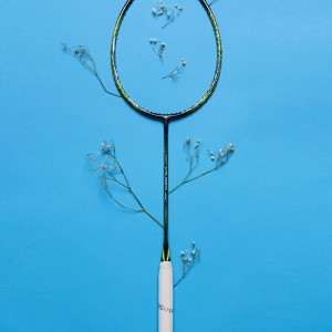 아우토반을 달리다, Solid Carbon Accelerator, 미즈노